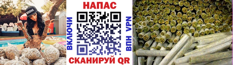Конопля MAZAR купить закладку Челябинск